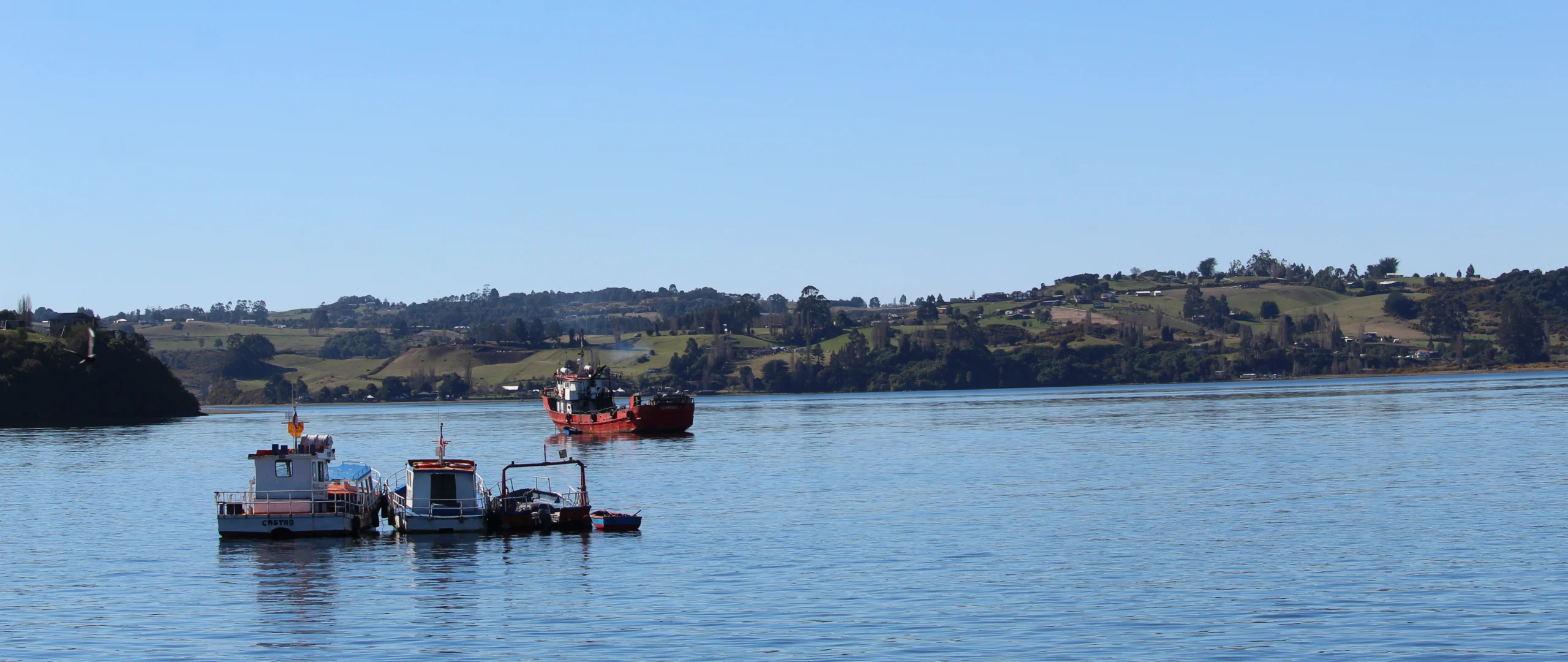 Varios botes y lanchas pesqueras de colores rojo y blanco flotan en el mar junto a la costa de Chiloé, con colinas verdes al fondo bajo cielo despejado. Patrimonio cultural de chiloé.