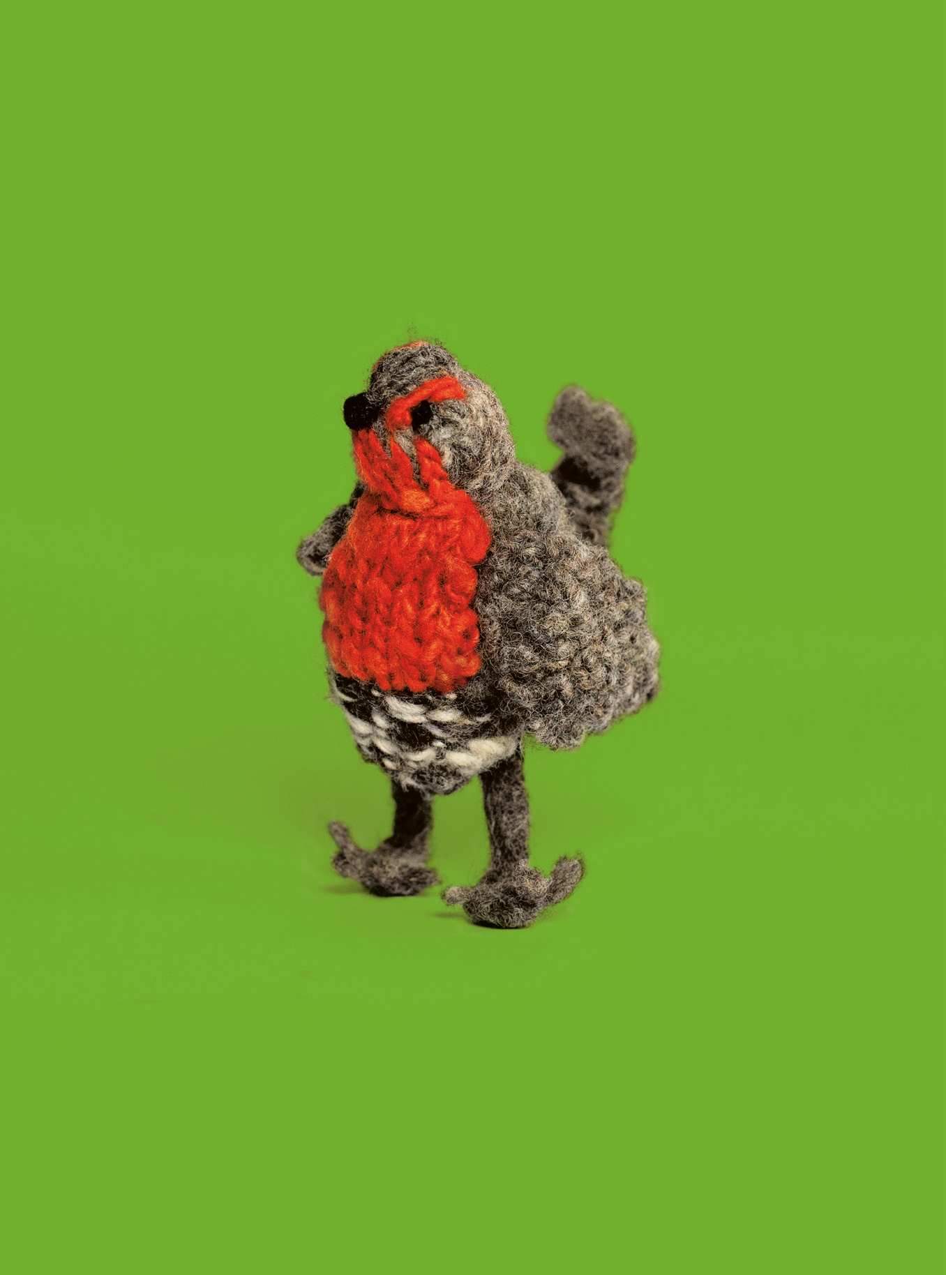 Muñeco de lana que representa un pájaro chucao sobre fondo verde.