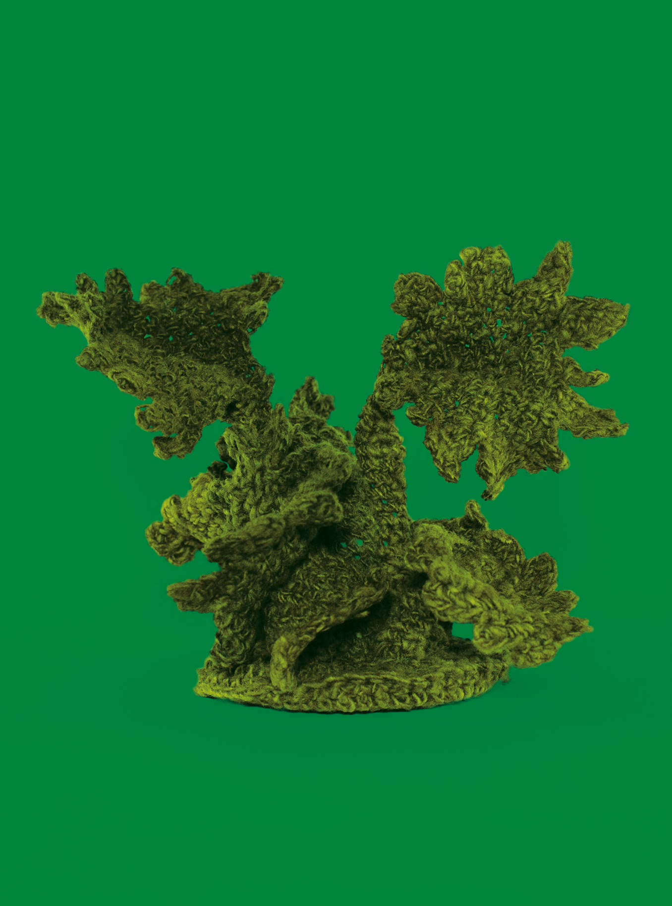 Hoja de Nalca tejida sobre un fondo verde