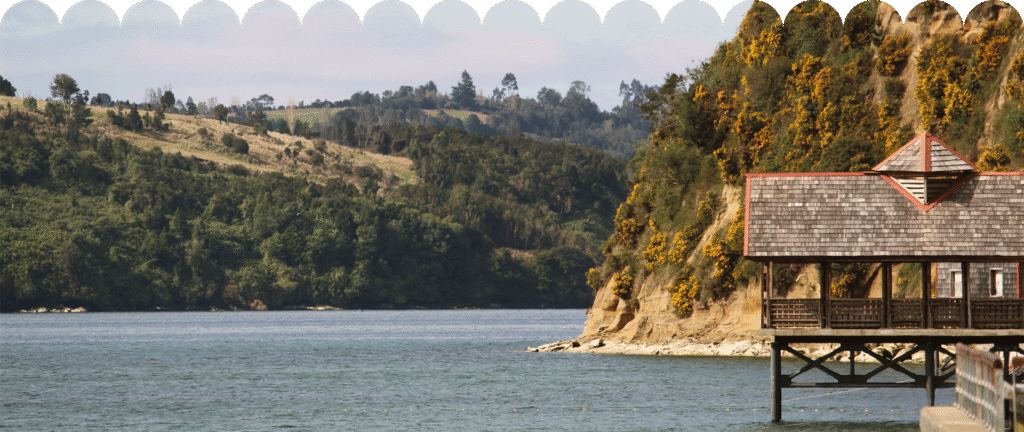 Casa de madera sobre pilotes junto al borde costero, rodeada de acantilados y vegetación verde con flores amarillas, frente al mar en Chiloé.